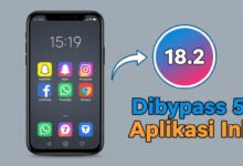 App Tracking Report iOS 18.2 bypass