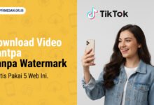 Download Video TikTok di iPhone
