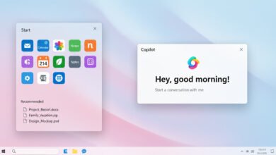 Windows 11 24H2 Copilot startup