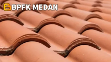 Sebaran Penggunaan Genteng di Rumah Tangga Indonesia Berdasarkan Wilayah