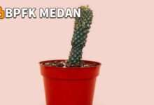 Dampak dan Bahaya Organ Intim Terjepit Ritsleting yang Perlu Anda Ketahui