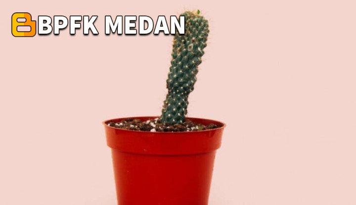 Dampak dan Bahaya Organ Intim Terjepit Ritsleting yang Perlu Anda Ketahui